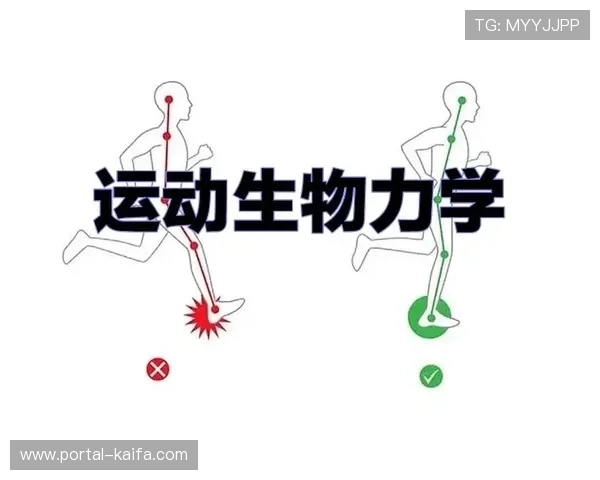 运动生物力学应用，装备设计人性化突破